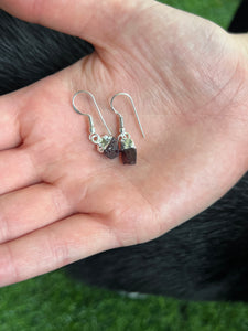 Garnet Crystal Earrings