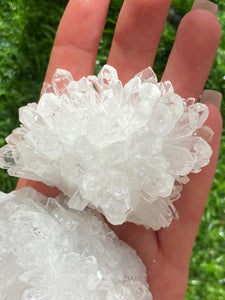 Chrysanthemum Quartz